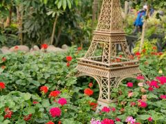 -南宫五洲植物乐园