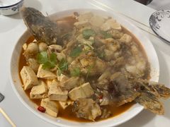 -煲来饱去冷水鱼