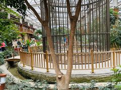 -南宫五洲植物乐园