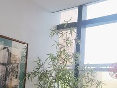 -小菜园新徽菜(南京秦淮龙蟠汇店)