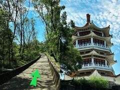 -紫马岭公园