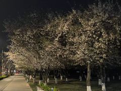 -龙美术馆西岸馆-停车场