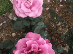 -人民公园(罗湖区)