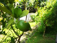 -广州神农草堂中医药博物馆