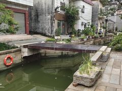 -碧江金楼