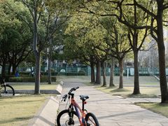 -新江湾城公园