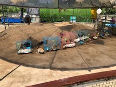 -前小桔亲子创意农场·草莓采摘·露营烧烤