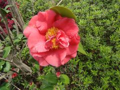 -东钱湖旅游度假区