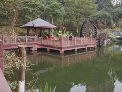 -重庆彩云湖湿地公园