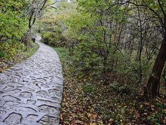 -帽儿山风景区