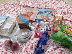 -上海共青森林公园