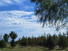 -汉长安城未央宫国家考古遗址公园