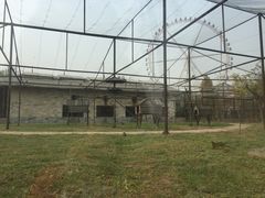 -石家庄市动物园