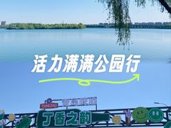 -丁香湖公园