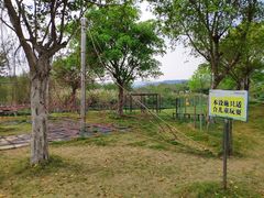 -天适樱花悠乐园