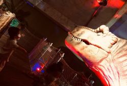 -恐龙探索乐园(磁器口店)