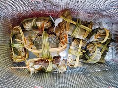 -蟹状元大闸蟹·年货·粽子(成都成华店)