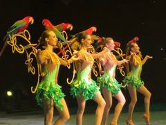 -珠海横琴长隆《卡卡虎奇遇记》