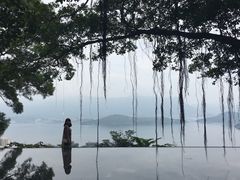 -大埔公路-马料水段香港中文大学(公交站)