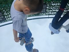 -黄海国家森林公园