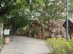 -九龙寨城公园