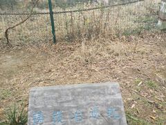 -冶山国家矿山公园