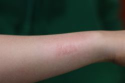 -飛凡TATTOO纹身•原创