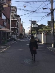 -付军剪艺