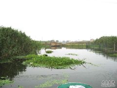 05-小陆莲花蟹园农家乐(莲花岛店)