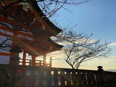 -有栖山 清光院 清水寺