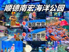 -顺德南宏海立方海洋公园