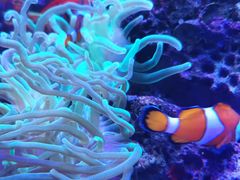 -多彩贵州城极地海洋世界