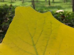 -长春公园(普阳街道)