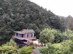 -欢乐松鼠谷