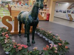 -上海闵行区万科双语学校