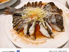 -海富荣·锅贴·陕菜家常菜(阳光城店)
