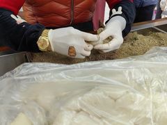 -叶氏麻糍(鼓浪屿店)