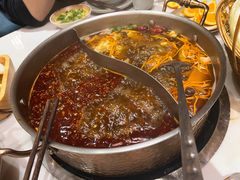 -菌子鲜汤野生菌锅