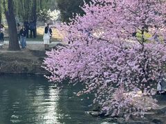 -颐和园