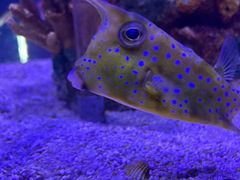 -太平洋海底世界