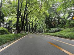 -采石矶景区