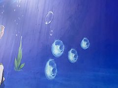 -范饭椰林川湘味海鲜·椰子鸡(三亚湾椰梦长廊店)