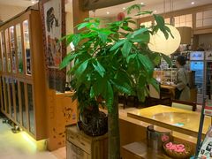 -丽和苑·自助寿喜锅(虹梅路店)