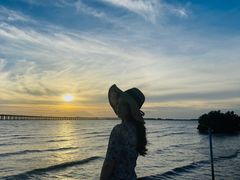 -宝安西湾红树林湿地公园