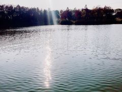 -梁鸿国家湿地公园