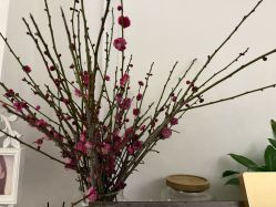 -香秀空间科技抗衰·美容中心