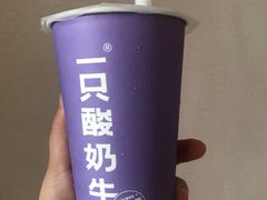 -一只酸奶牛(八一路店)