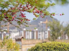 -苏州文庙(姑苏区)