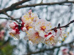 -同里国家湿地公园