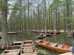 -渌洋湖湿地公园